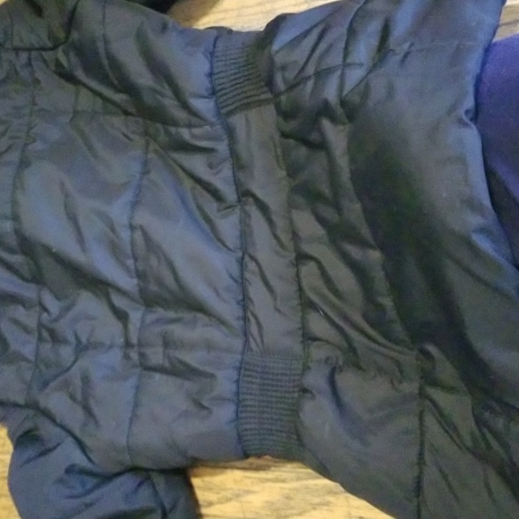 Aeropostale Ladies small light winter jacket - Picture 5 of 5